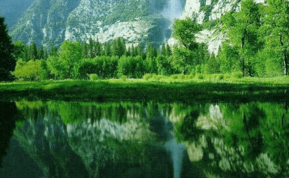 挽回爱情的经典语录! 挽回爱情的经典语录!