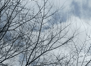 命运是没有一种不是不通过蔑视。忍受和奋斗就可以征服的