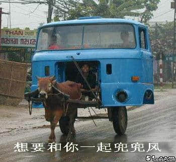让人笑得喘不过气的囧图