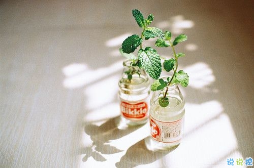2019情人节朋友圈说说心情短语 抖音最火情人节说说大全1