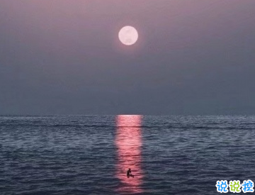 适合夏季的朋友圈说说好听经典 阳光的味道的说说夏季2
