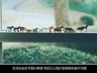 关于失望的说说。对一个人失望的说说