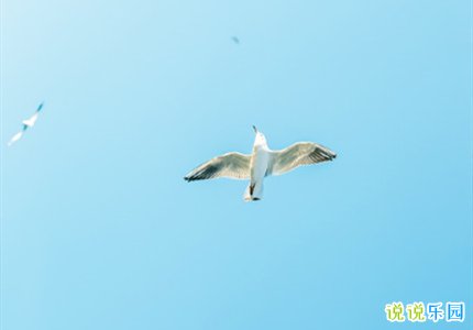 中考勉励又暖心的话 给自己中考励志的话