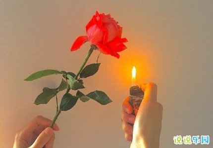 社会现实的文案 抖音比较现实的文案
