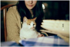 2020最新个性说说心情短语（给自己的说说心情短语）